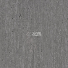 Линолеум Tarkett iq Optima NEUTRAL DARK GREY 0243 фото 1 | FLOORDEALER